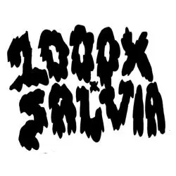1000x Salvia