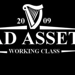 Bad Assets