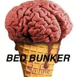 Bed Bunker
