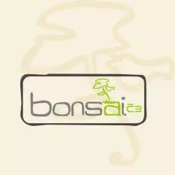 Bonsai č. 3