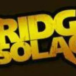 Bridge To Solace