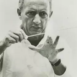 Carlo Felice Cillario