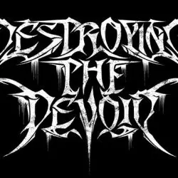 Destroying The Devoid