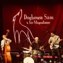Doghouse Sam & His Magnatones