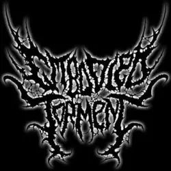 Embodied Torment