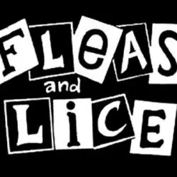Fleas And Lice