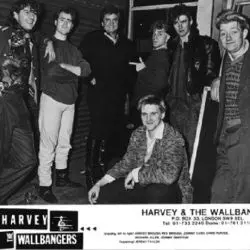 Harvey & The Wallbangers