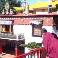 Monks Of The Dip Tse Chok Ling Monastery, Dharamsala
