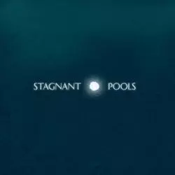 Stagnant Pools