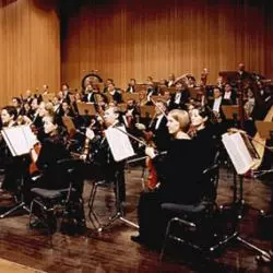 The Brandenburg Symphonic Orchestra