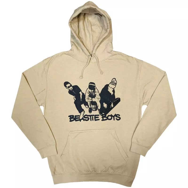 The Beastie Boys Unisex Pullover Hoodie: Check Your Head (medium) M