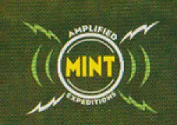 Amplified Mint