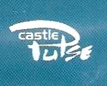 Castle Pulse