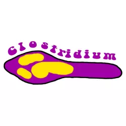 Clostridium Records