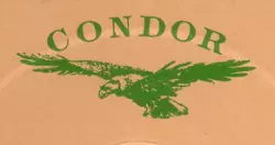 Condor (2)