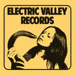 Electric Valley Records
