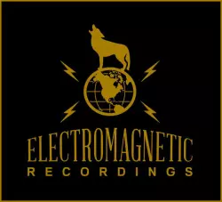 Electromagnetic Recordings (2)