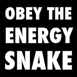 Energy Snake Records