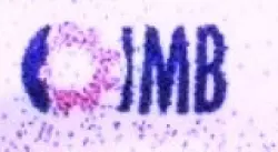 JMB