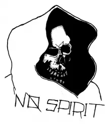 No Spirit Fanzine