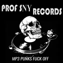 Prof Sny Records