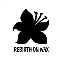 Rebirth On Wax