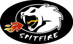 Spitfire Records