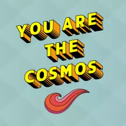You Are The Cosmos