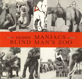 Blind Man's Zoo