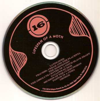 CD 16: Lifespan Of A Moth 302646