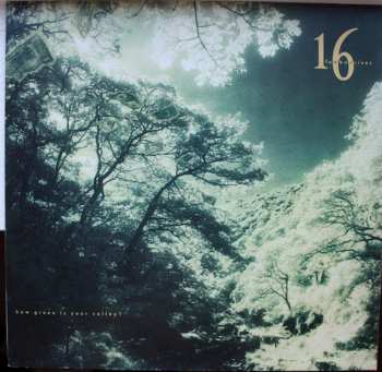 Album 16 Tambourines: How Green Is Your Valley ?