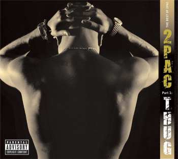 2LP 2Pac: The Best Of 2Pac - Part 1: Thug 377966