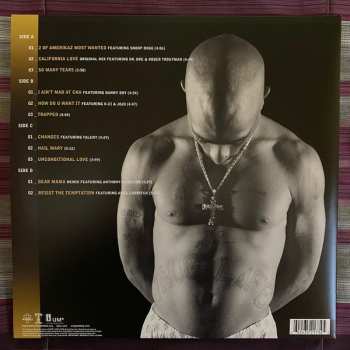 2LP 2Pac: The Best Of 2Pac - Part 1: Thug 377966