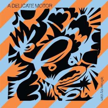 Album A Delicate Motor: Fellover My Own 