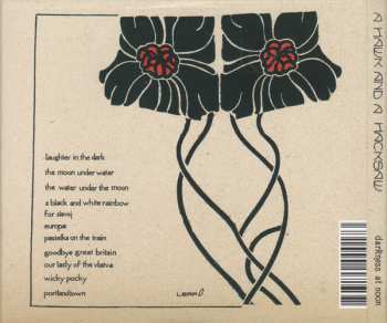 CD A Hawk And A Hacksaw: Darkness At Noon