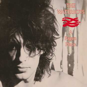 Album The Waterboys: A Pagan Place