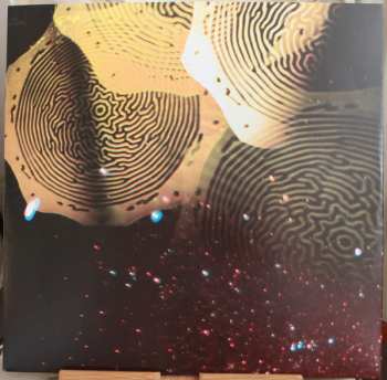 LP A Place To Bury Strangers: See Through You  412318