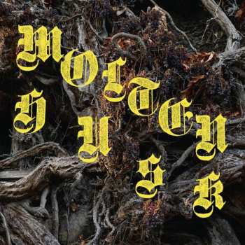 Album Abest: Molten Husk