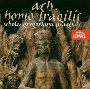 Album Schola Gregoriana Pragensis: Ach, Homo Fragilis