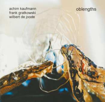 Album Achim Kaufmann / Frank Gratkowski / Wilbert De Joode: Oblengths