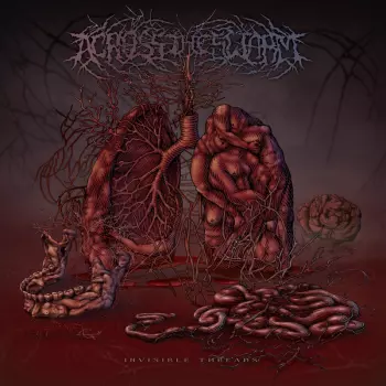 Across The Swarm: Invisible Threads