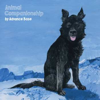 Album Advance Base: Animal Companionship