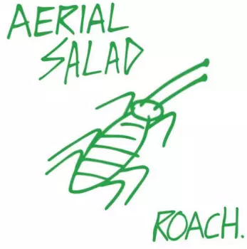 Aerial Salad: Roach