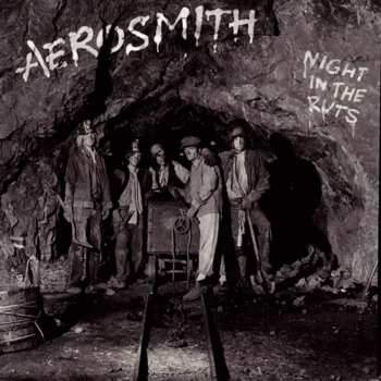 CD Aerosmith: Night In The Ruts 439731