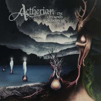 CD Aetherian: The Untamed Wilderness 485141