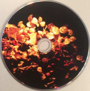 CD Agathe Max: This Silver String