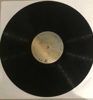 LP AJR: The Maybe Man 