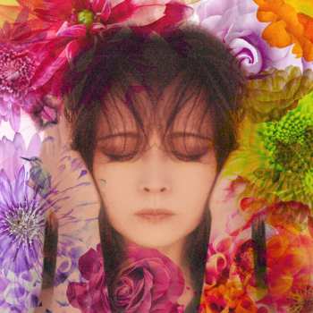 Album Akina Nakamori: Fixer