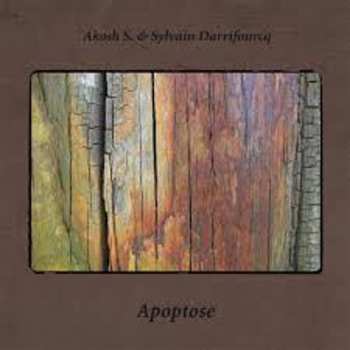 Album Sylvain Darrifourcq: Apoptose