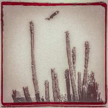 Album Alejandro Escovedo: The Crossing